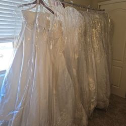 Huge Lot of Wedding & Formal Dresses