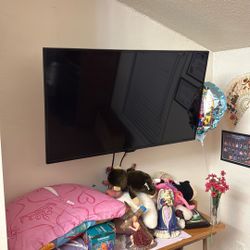 42” Led Insignia With Remote And Wall Mounting 