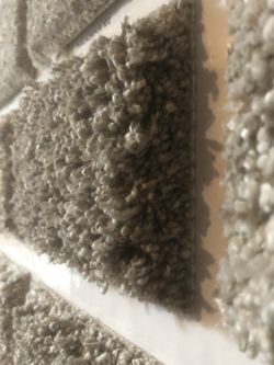 Carpet