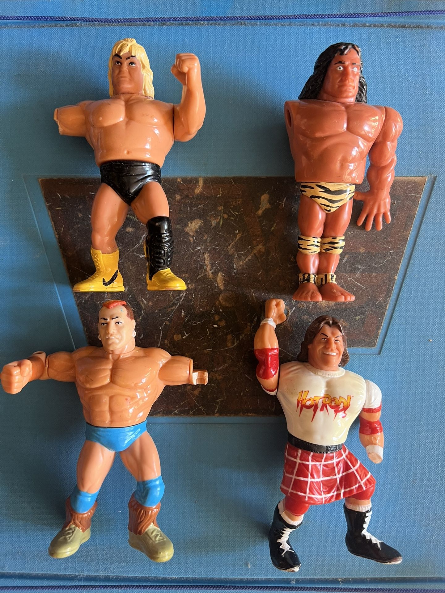 WWE WWF Hasbro Action Figures