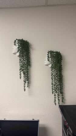 Wall face planters