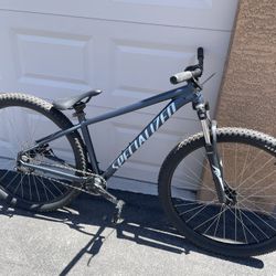 Specialized Rockhopper 29