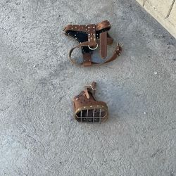 Large Dog Harness And Muzzel