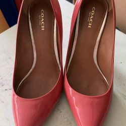 Coach N Chinese laundry 