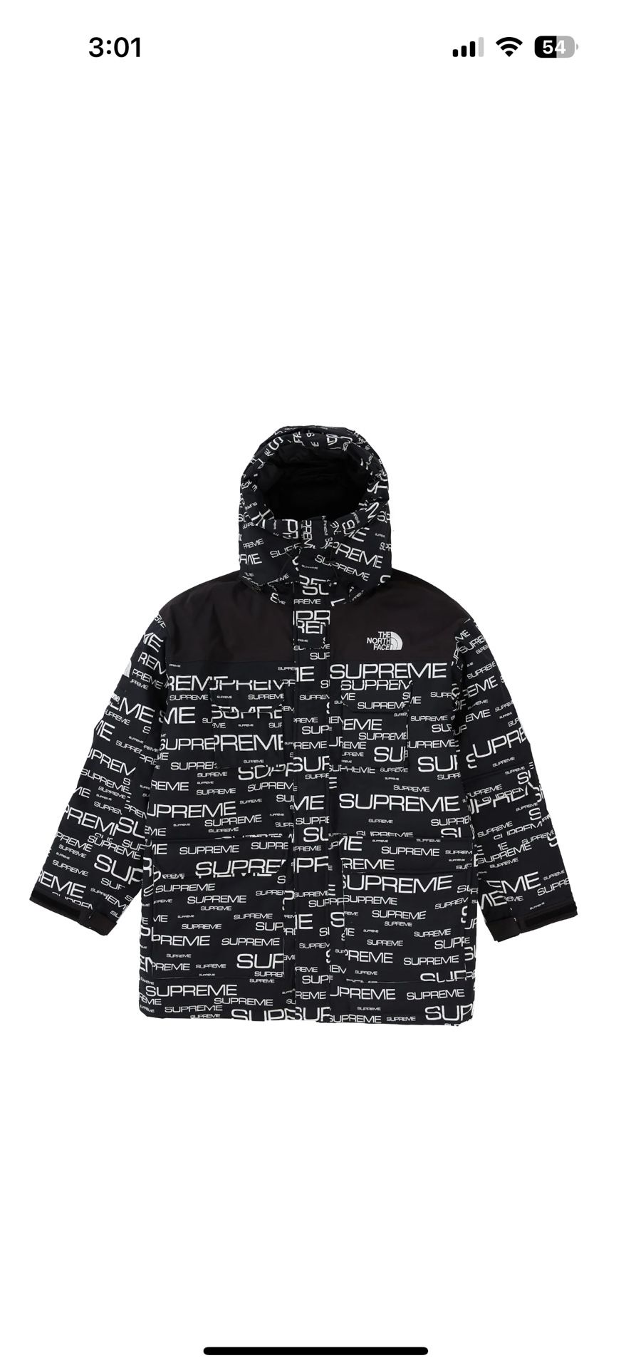 Supreme TNF 700 Fill Down Jacket Size L