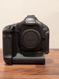 Canon EOS-1Ds Mark III (21.1 MP full-frame DSLR)