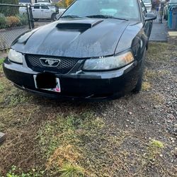 2004 Ford Mustang 40th Anniversary