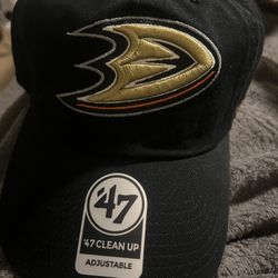 Anaheim Ducks Hat