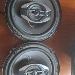 Speaker Pioneer 