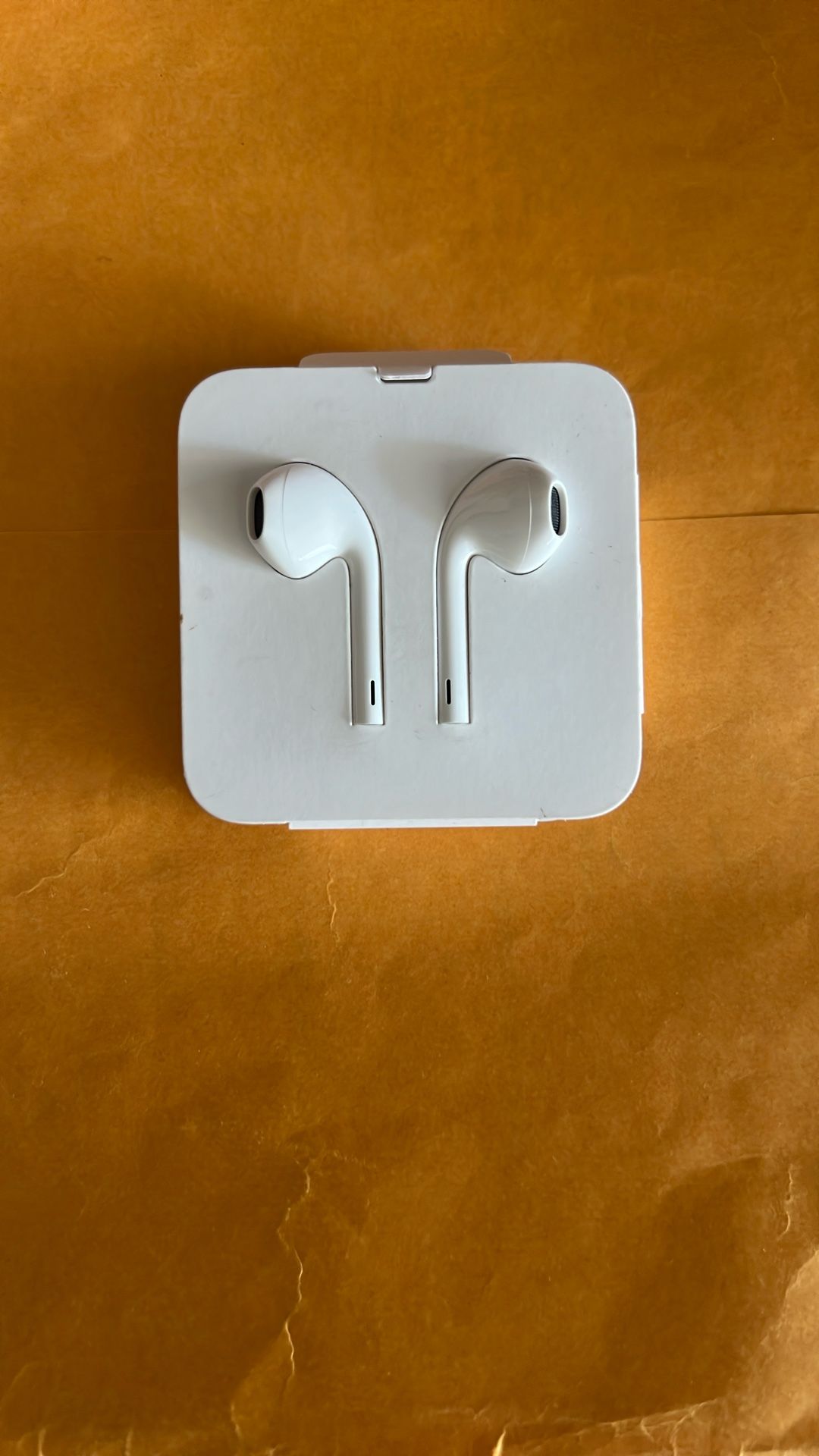iPod Headphones 