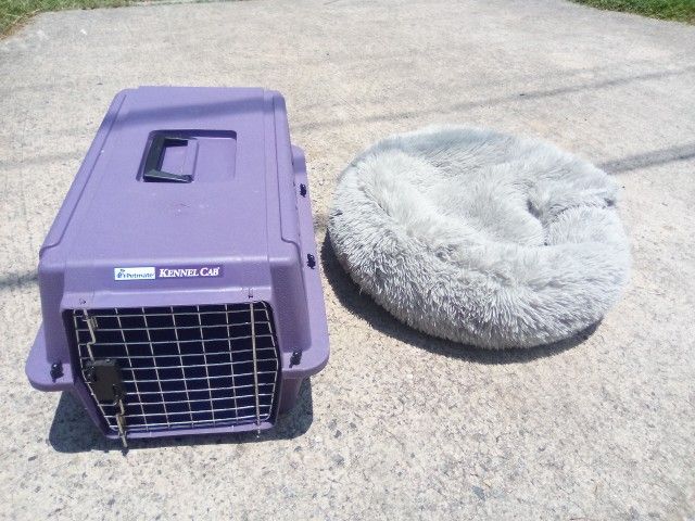 Purple Kennel +Pillow 25.00