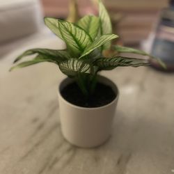 Fake Plant Decoration