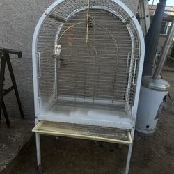 Bird Cage