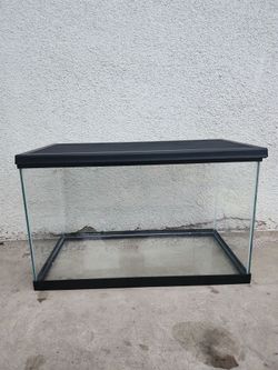 Glass Aquarium