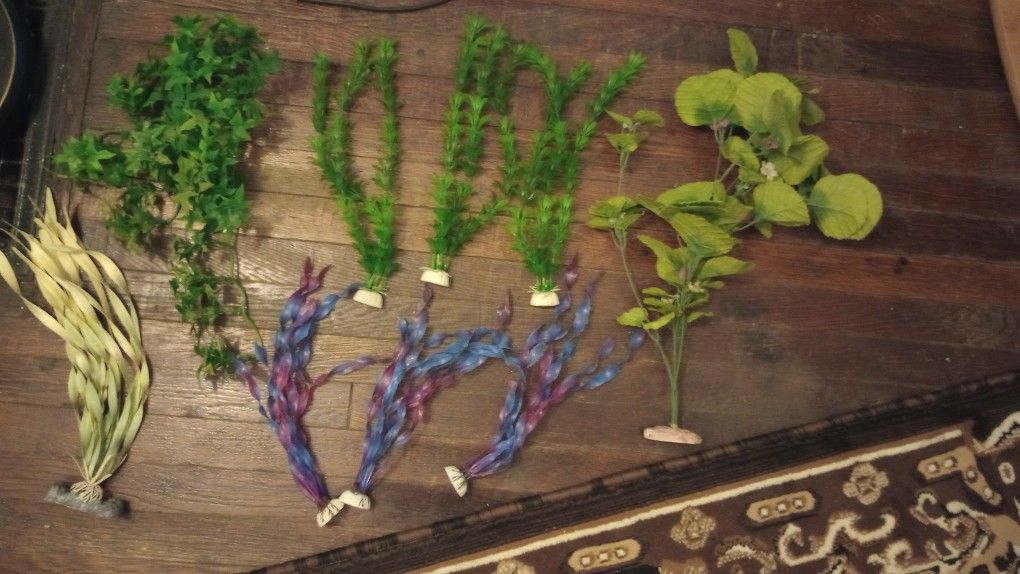 Aquarium Decorations