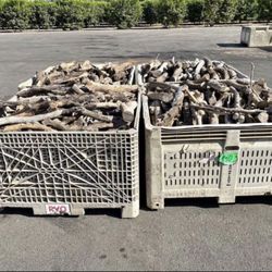 Firewood 