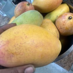 Miami Sweet Mangoes