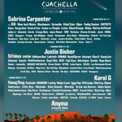 Coachella ticket 