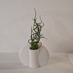 ZENS Brand Sleek, Modern, And Unique Vase.