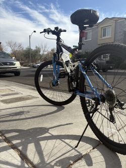 $100 bicycle