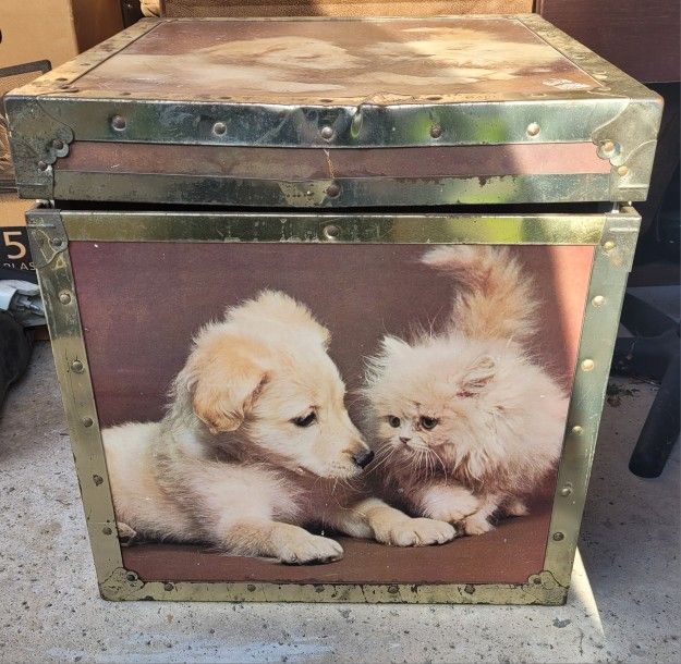 Old Time Storage Trunk 