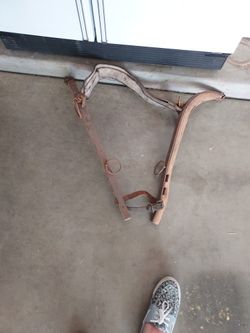 Antique Oxen Yoke