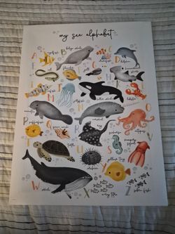 Sea animal alphabet canvas
