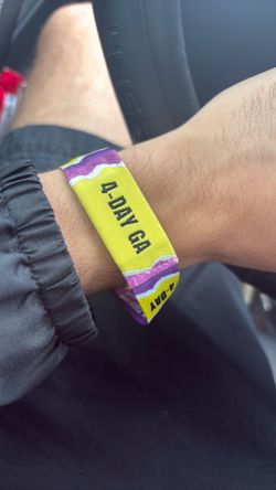 Lollapalooza Saturday & Sunday