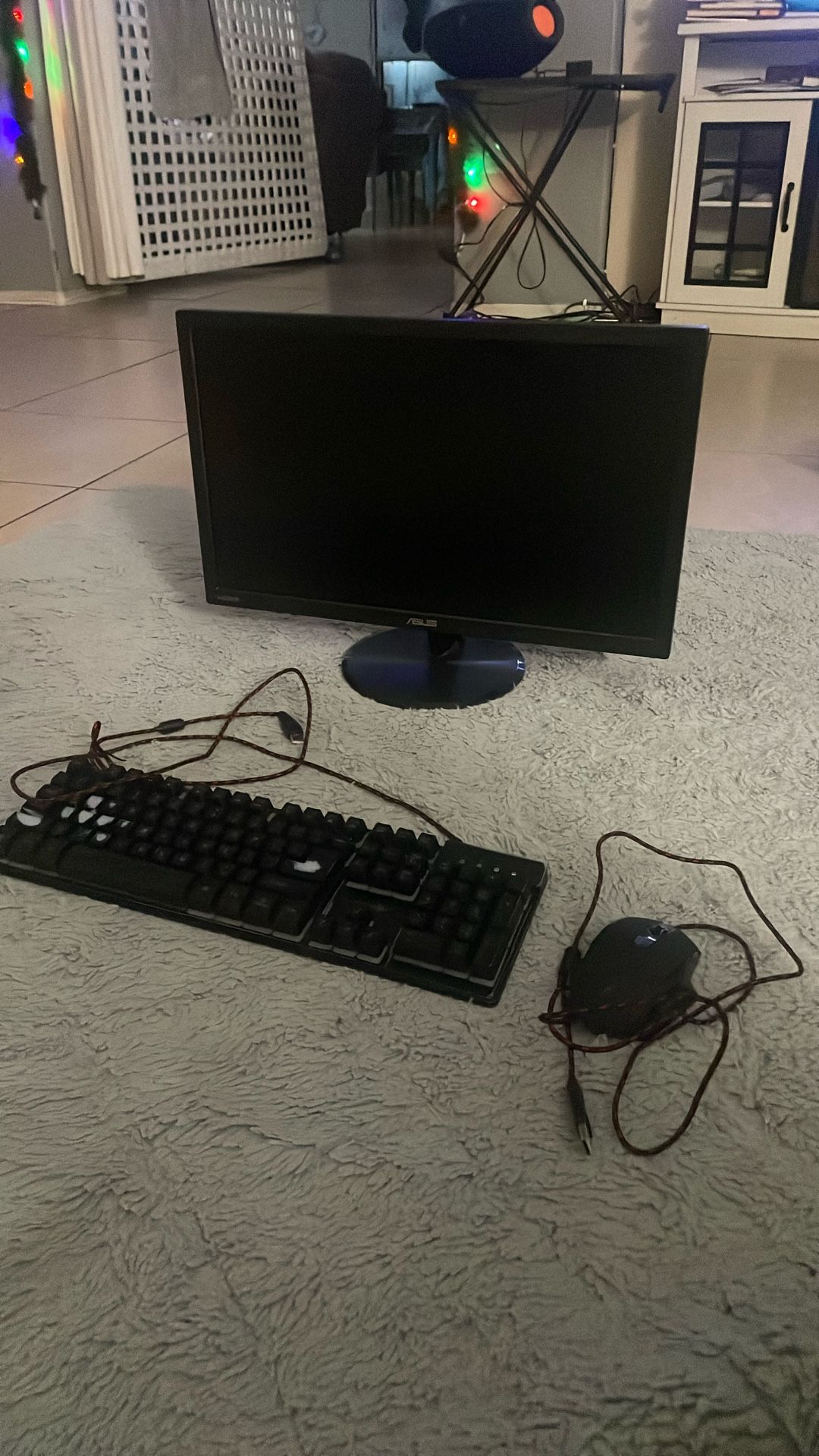 Asus 60hz 24 Inch Monitor