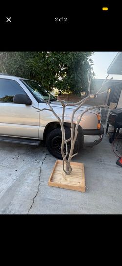 Parrot stand