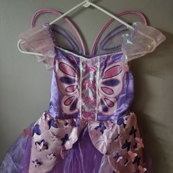 Fairy Costume 