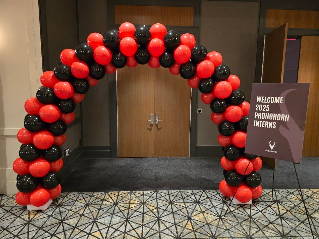 Balloon Arch Balloon Garland And Balloon Columns