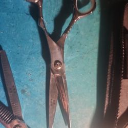 Pro Line barber scissors