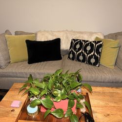 Modern 7.5' Sand-Toned Sofa – Excellent Condition