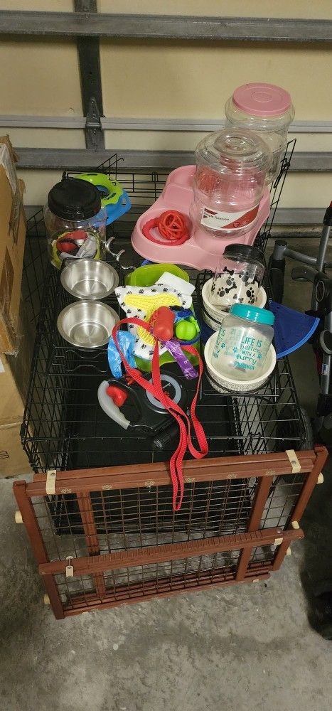 Dog Essentials