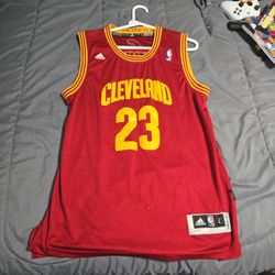 LeBron James Cleveland 