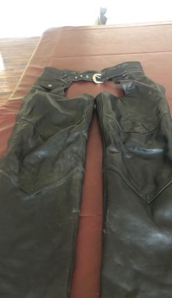 Harley Davidson chaps and Wilson leather halter