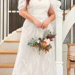 Reception  / Wedding Dress 