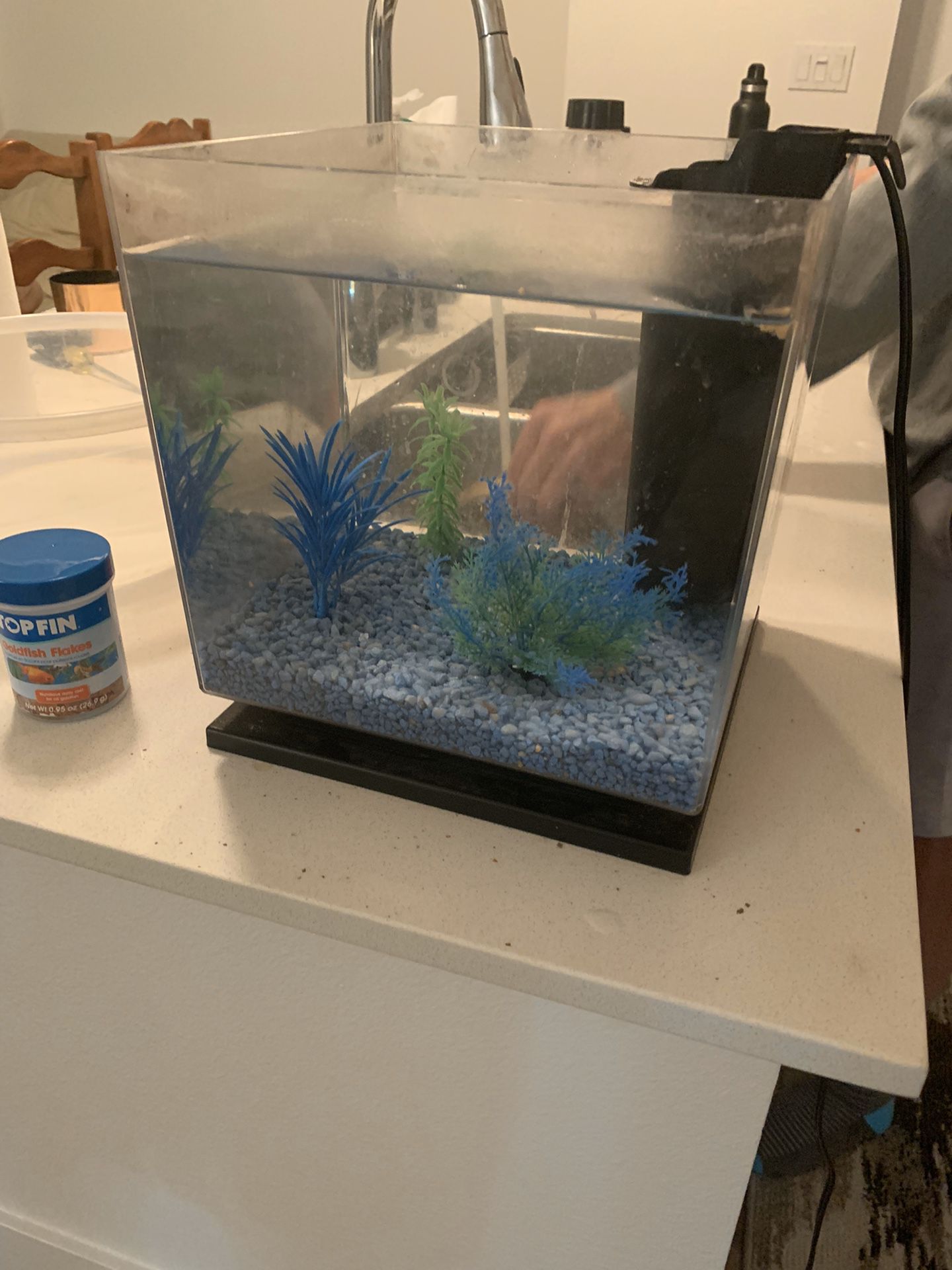 Aquarium - 3 gallons