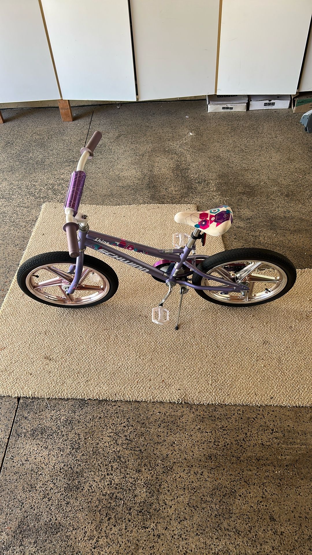 Schwinn Bike