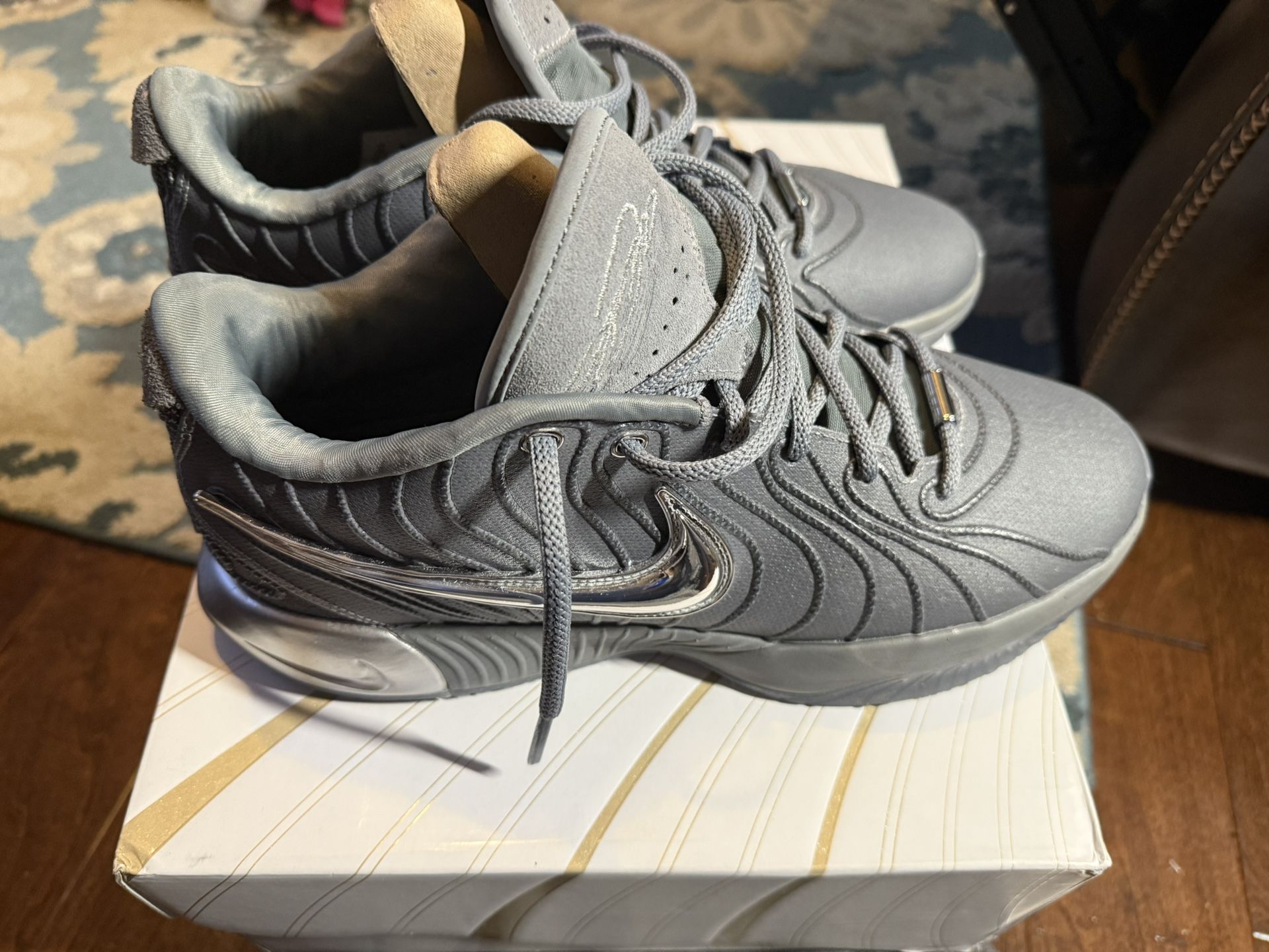 Nike LeBron 21 Resilience 2024