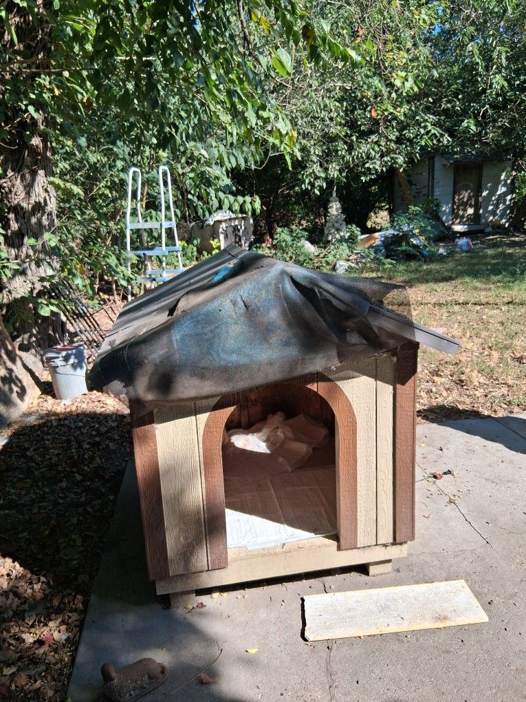 Dog House