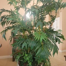 Indoor Fake Plant