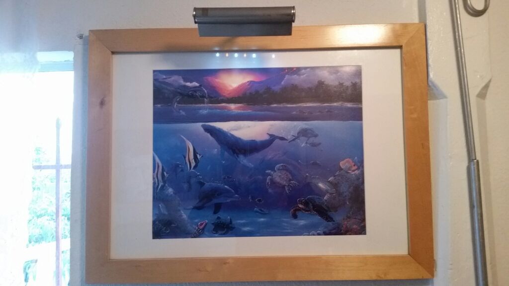 Underwater ocean scene picture frame and Light