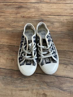 Dior Shoes 