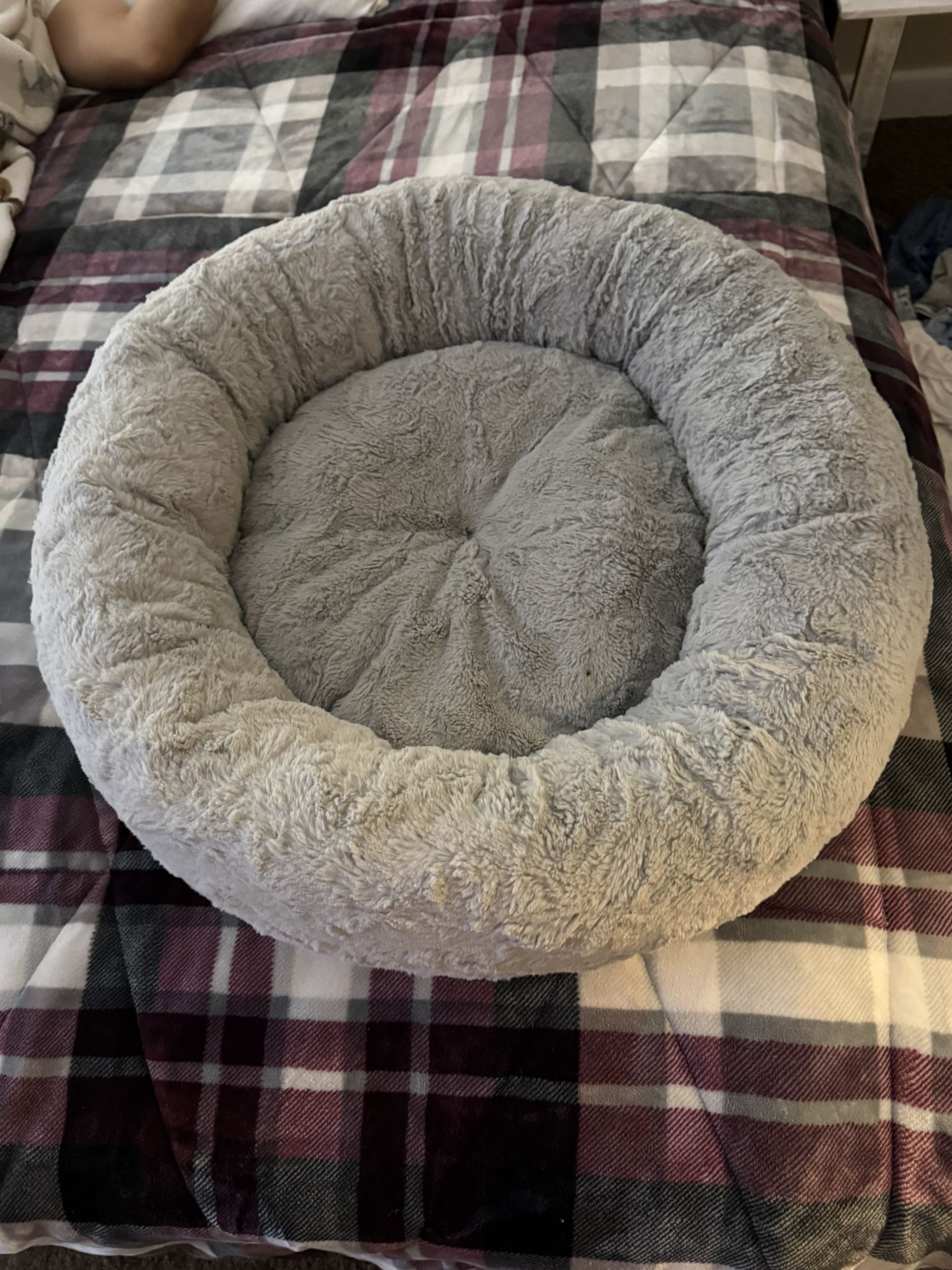 Bed For Pet New $18 Dlls
