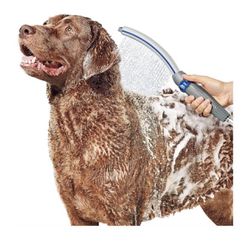 Dog Shower 