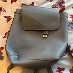 Blue Guess Backpack 