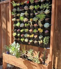 Custom Beautiful privacy wall Tomato Tower Planter Box Garden Bed Decor Outdoor Design cedar redwood 