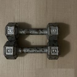 8lb Hex Dumbbell Set
